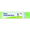 BOIRON Srl RHUS TOXICODEND*5CH 80GR 4G BO