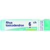BOIRON Srl RHUS TOXICODENDRON 6CH 80GR 4G