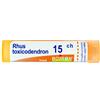 BOIRON Srl BO.RHUS TOX*15CH 80GR4G