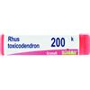 BOIRON Srl BO.RHUS TOXICODENDRON*200K GR