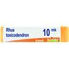 BOIRON Srl BO.RHUS TOX *10000K GR1G