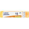 BOIRON Srl BO.LEDUM PALUSTRE Tubo 15CH