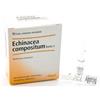 GUNA SpA Guna Heel Echinacea Compositum S Forte Rimedio Omeopatico Difese Immunitarie 10 Fiale