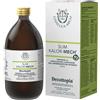 GIANLUCA MECH SpA Tisanoreica Slim kalorMech - Integratore Acceleratore Metabolico - 500 mL