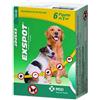 MSD ANIMAL HEALTH Srl EXSPOT 6 PIP 2ML