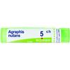 BOIRON Srl BO.AGRAPHIS NUTANS*5CH 80GR 4G