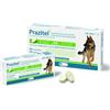 ECUPHAR ITALIA Srl PRAZITEL*20CPR CANI T/GRANDE