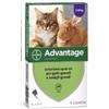 ELANCO ITALIA SpA ADVANTAGE 4 pipette 0,8ML SPOT ON GATTI e CONIGLI superiori a 4 kg