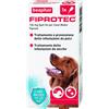 BEAPHAR B.V. FIPROTEC*1PIP 10-20KG CANI