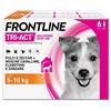 BOEHRINGER ING.ANIM.H.IT.SpA Frontline Tri Act x6 Pipette, Antiparassitario Per Cani e Cuccioli (Taglia S 5-10Kg) Contro Pulci, Zecche, Zanzare, Pappataci e Leishmaniosi