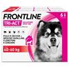 BOEHRINGER ING.ANIM.H.IT.SpA Frontline Tri Act x6 Pipette, Antiparassitario Per Cani e Cuccioli (Taglia XL 40-60Kg) Contro Pulci, Zecche, Zanzare, Pappataci e Leishmaniosi
