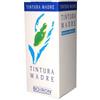 BOIRON Srl Boiron Betula Alba Tintura Madre 60 ml