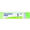 BOIRON Srl Boiron Anacardium Orient 5CH Granuli Tubo