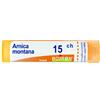 BOIRON Srl Boiron Arnica 15CH Granuli Tubo