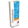 NEXTMUNE ITALY Srl Icf Clorexyderm Soluzione Disinfettante Veterinaria 500 Ml