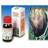 SPECCHIASOL Srl Specchiasol Carciofo 9 Tintura Madre 50 ml