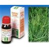 SPECCHIASOL Srl Specchiasol Gramigna 37 Tintura Madre 50 ml