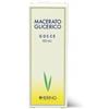 HERING Srl TILIA TOM GEMME 60ML MG