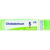 BOIRON Srl Boiron Cholesterinum 5CH Granuli Tubo