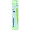 BOIRON Srl Boiron Cinnabaris 5CH Granuli Tubo