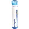 BOIRON Srl Boiron Colocynthis 9CH Granuli Tubo