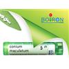BOIRON Srl Boiron Conium Maculatum 5CH Granuli Tubo