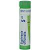 BOIRON Srl Boiron Euphrasia Officinalis 5CH Granuli Tubo
