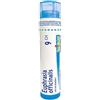 BOIRON Srl Boiron Euphrasia Officinalis 9CH Granuli Tubo