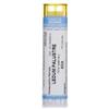 CEMON Srl Cemon Ledum Paustre 6CH Granuli Tubo