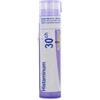 BOIRON Srl Boiron Histaminum 30CH Granuli Tubo