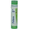 BOIRON Srl Boiron Pollens 5CH Granuli Tubo