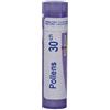 BOIRON Srl Boiron Pollens 30CH Granuli Tubo