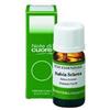 ERBORISTERIA MAGENTINA Srl SALVIA OFF OLIO ESS 10ML
