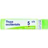 BOIRON Srl Thuya occident 5ch gr