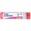BOIRON Srl Boiron Thuya Occidentalis 7CH Granuli Tubo