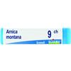 BOIRON Srl Boiron Arnica Montana 9CH Globuli Tubo