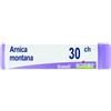 BOIRON Srl Boiron Arnica Montana 30CH Globuli Tubo 1g
