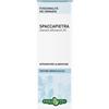 ERBA VITA GROUP SpA SPACCAPIETRA TINT IAL 50ML EBV