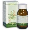ERBA VITA GROUP SpA Erba Vita Equiseto Integratore Benessere Unghie e Capelli 125 Tavolette