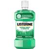 KENVUE ITALIA SPA LISTERINE Collutorio Difesa Denti e Gengive 200 ml, Collutorio con fluoruro al gusto di Menta Fresca