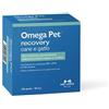 N.B.F. LANES Srl Nbf Lanes Omega Pet Recovery Integratore Infiammazioni Cani E Gatti 120 Perle