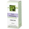 FARMADERBE Srl FARMADERBE OLIO ESS CANFORA