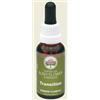 BUSH BIOTHERAPIES Pty Ltd Bush Flower Essences Fiori Australiani Transition Gocce 30 ml