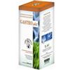 A.V.D. REFORM Srl AVD Gastrophit funzionalit