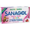 NAMED Srl Sanagol Gola Tuss Junior Gusto Fragola 24 Caramelle