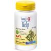 LONGLIFE Srl LongLife Kelp Alga Bruna Integratore di Iodio 180 Compresse