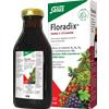 SALUS HAUS Gmbh & Co KG Salus - Floradix 250 ml - Integratore Di Ferro E Vitamine