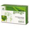 FARMADERBE Srl Farmaderbe Ginkbo Biloba Integratore Antiossidante 60 Capsule