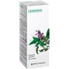 SPECCHIASOL Srl Specchiasol Gemmosol 36 Ribes Nero Gemmoderivati 50 ml