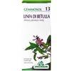SPECCHIASOL Srl Specchiasol Gemmosol 13 Linfa di Betulla Gemmoderivati 50 ml